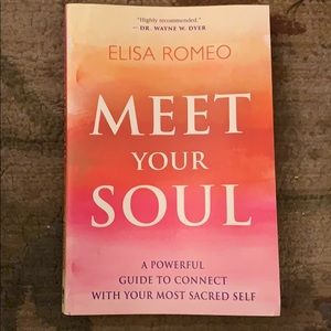 MEET YOUR SOUL